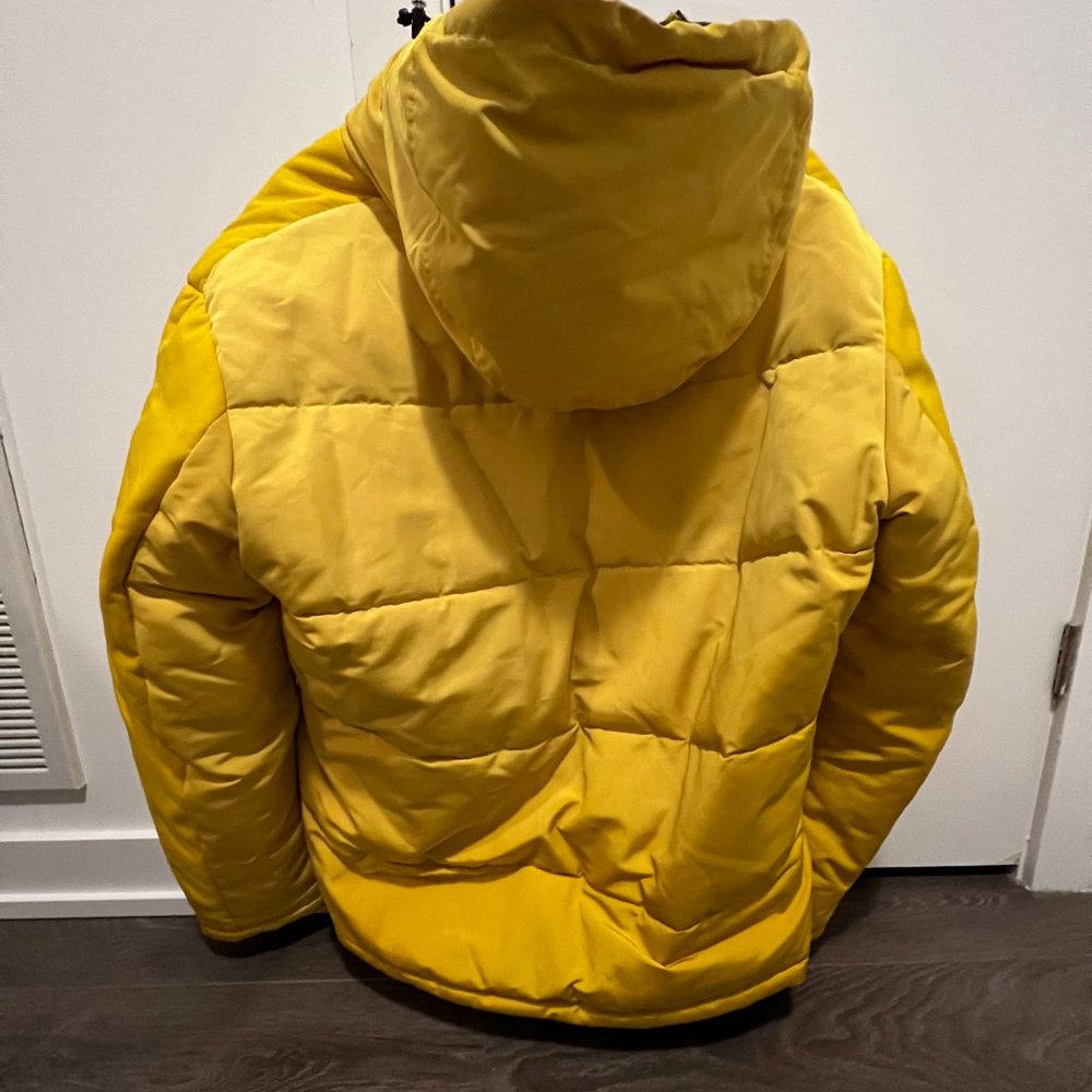 Padded jacket - Picture 4 of 4